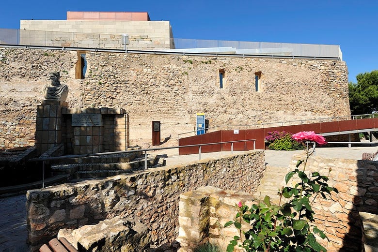 Mura del Castillo de la Concepción